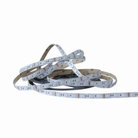 LED Strip RGB 30 leds p/m